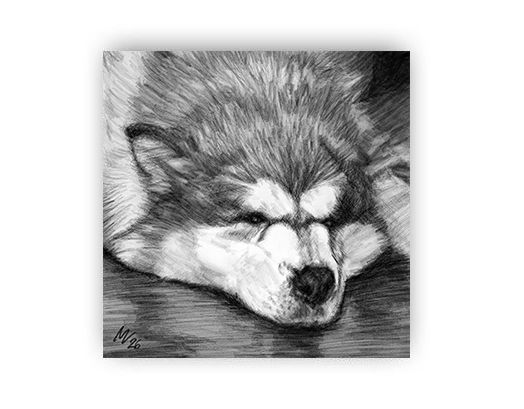 Marchino in Giappone - Calabrese in Oriente Giappone